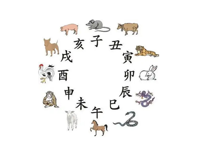 未来20年走大运的属相——龙、鸡、蛇、猪！