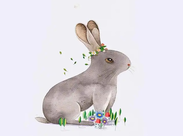 属兔走大运年份——羊年、狗年、猪年、鸡年、兔年